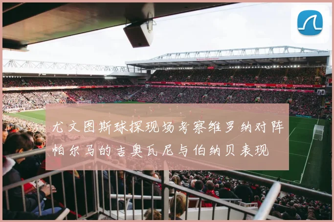 尤文图斯球探现场考察维罗纳对阵帕尔马的吉奥瓦尼与伯纳贝表现