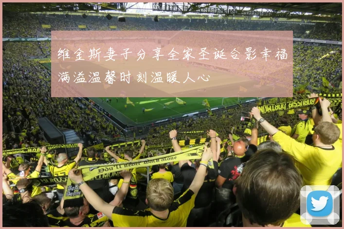 维金斯妻子分享全家圣诞合影幸福满溢温馨时刻温暖人心