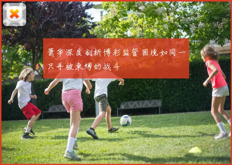 萧华深度剖析博彩监管困境如同一只手被束缚的战斗